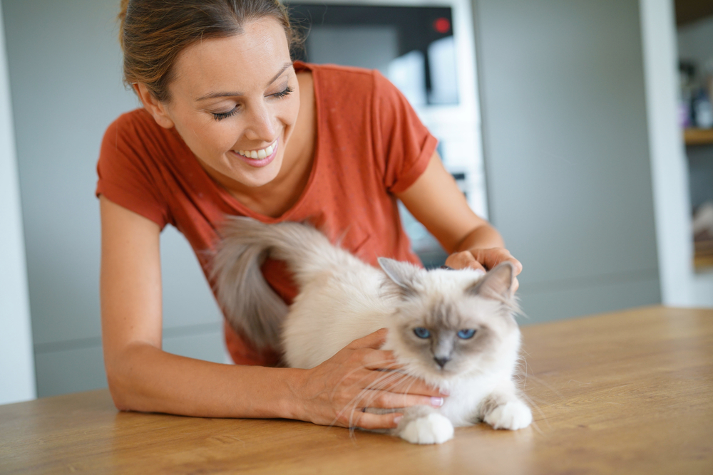 女性と猫