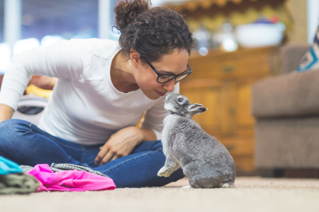 うさぎの 足ダン について 寂しい 嬉しい 足ダンをする意味 Column Levees レビーズ Animal Rights 動物の権利を考えるwebマガジン