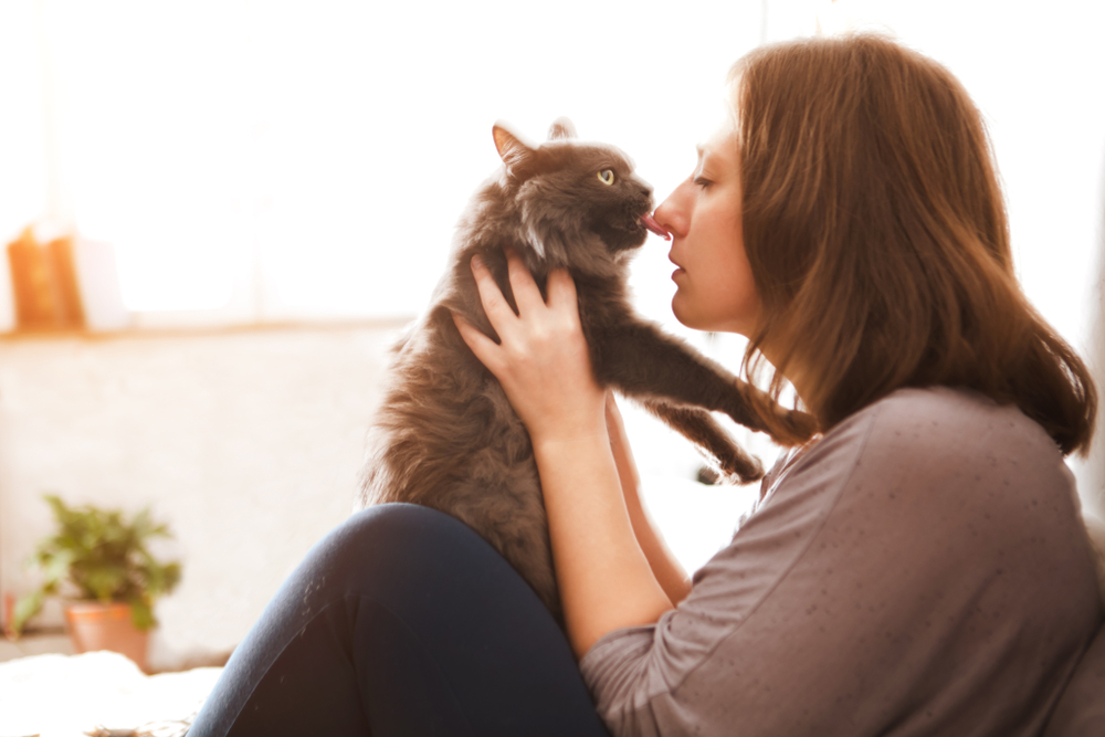 飼い主に抱っこされる猫
