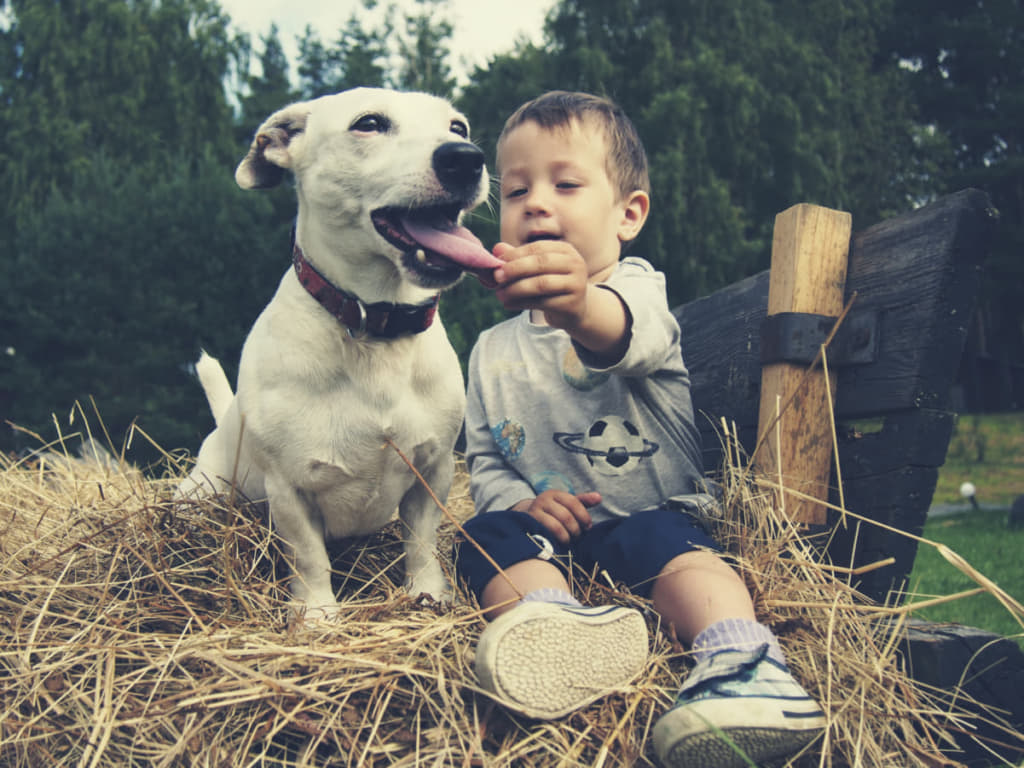 子供と犬