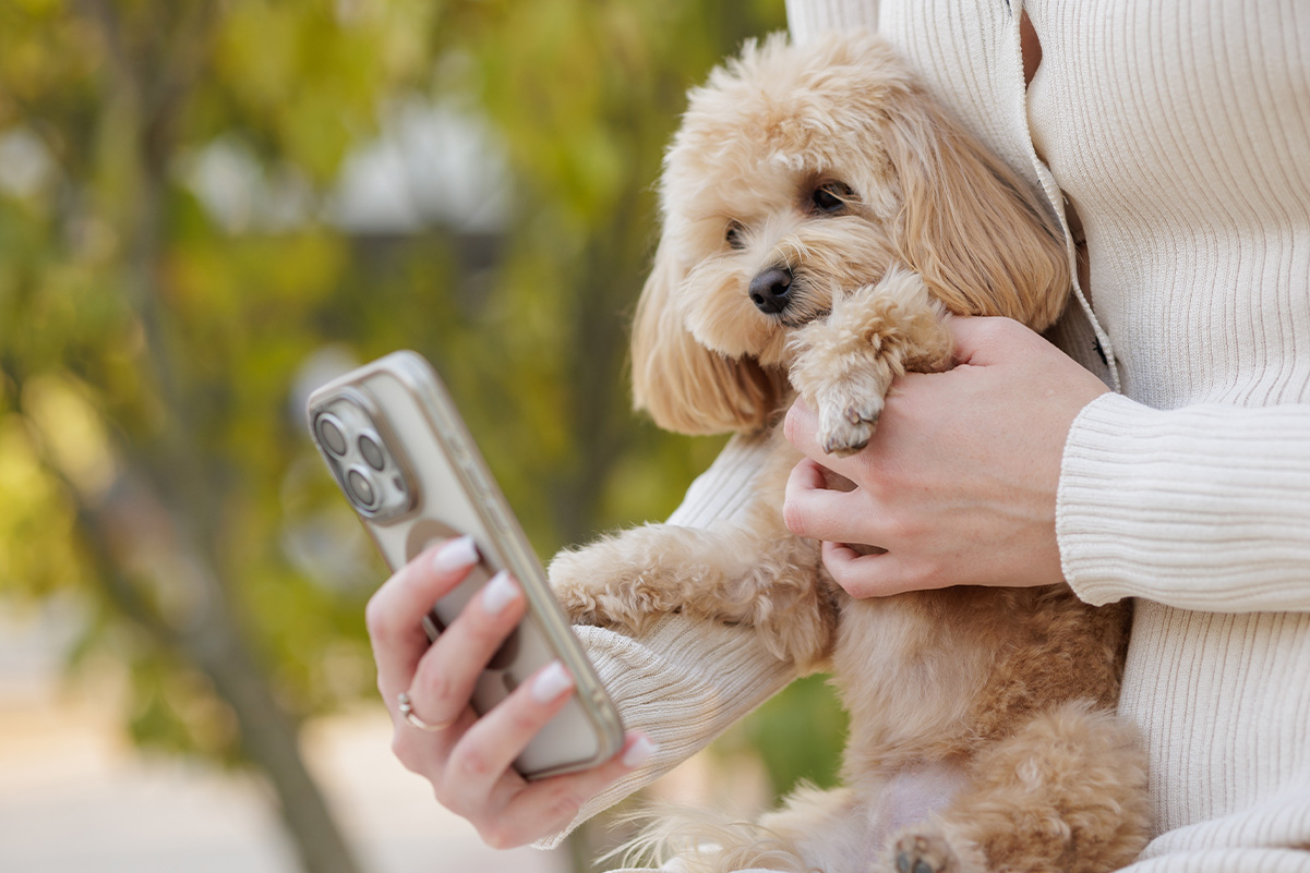 愛犬の魅力を引き出す写真撮影テクニック
