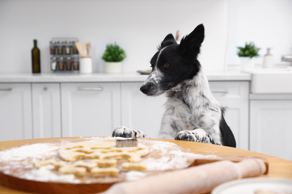 愛犬との絆を深める手作りおやつレシピ集